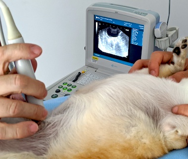 00000PORTRAIT_00000_BURST20191204093430686