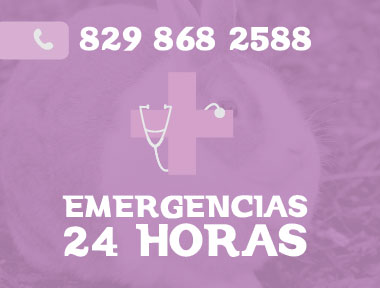 Emergencia-2