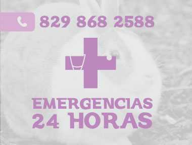 Emergencia